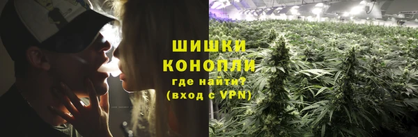 мяу мяу мука Вязьма