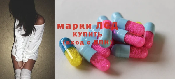 стаф Вязники