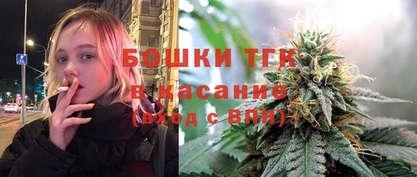 ECSTASY Вяземский