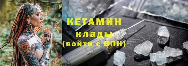 стаф Вязники
