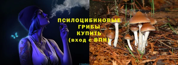 стаф Вязники
