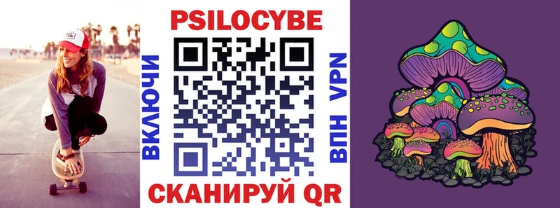 Купить  Макаров  Псилоцибиновые грибы Psilocybine cubensis 
