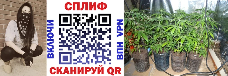 Купить закладки  Макаров  Шишки марихуана OG Kush 